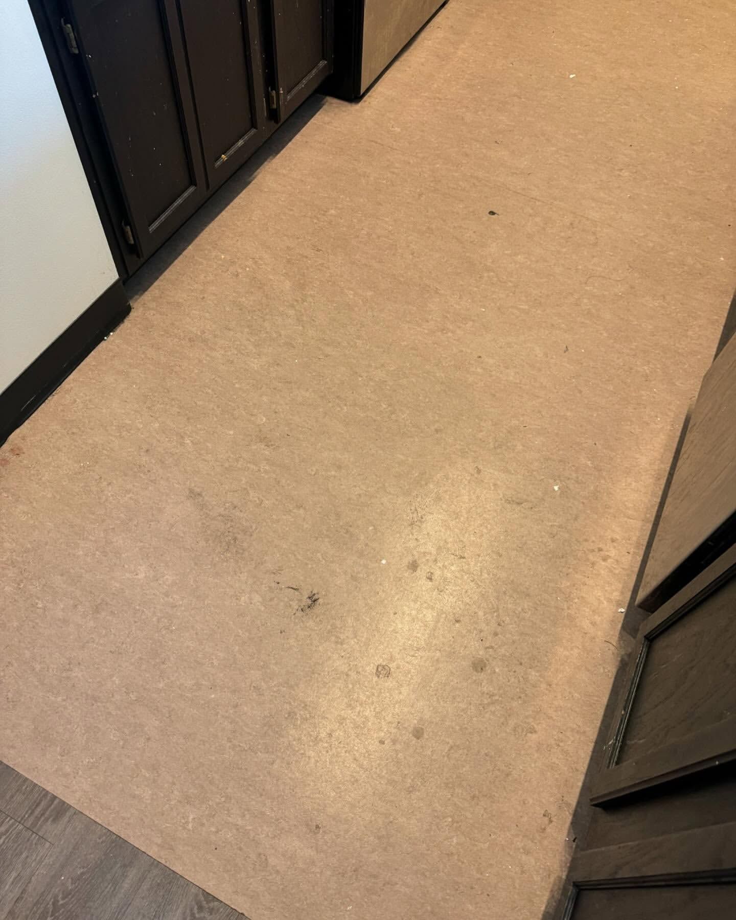 Tan carpet in a kitchen area with dark cabinets and light-colored wall.