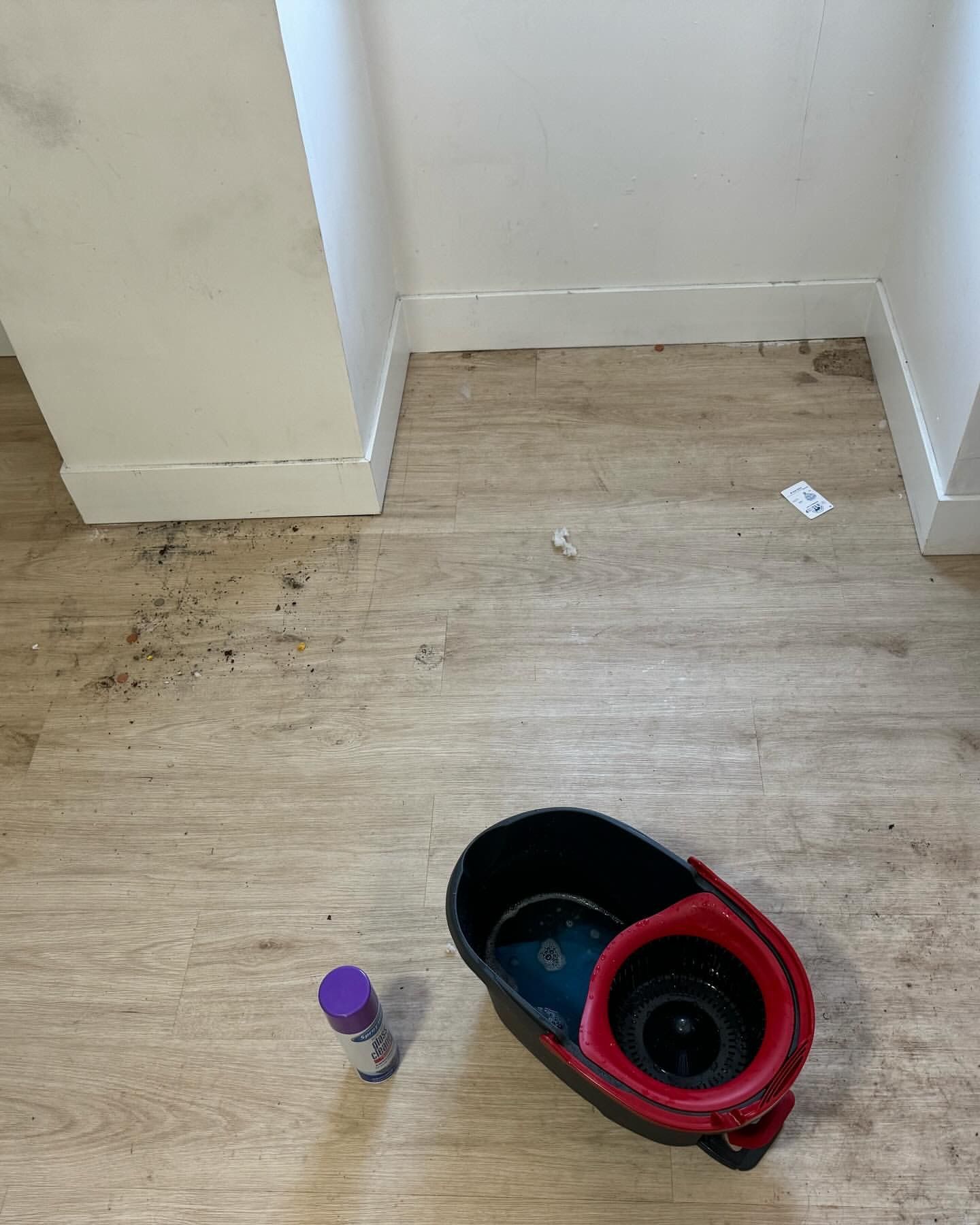A mop bucket and cleaner on a dirty, wood-look floor in a room with white walls.