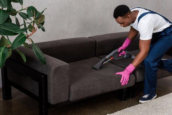 Man in pink gloves cleans a gray sofa with a vacuum in a living room.