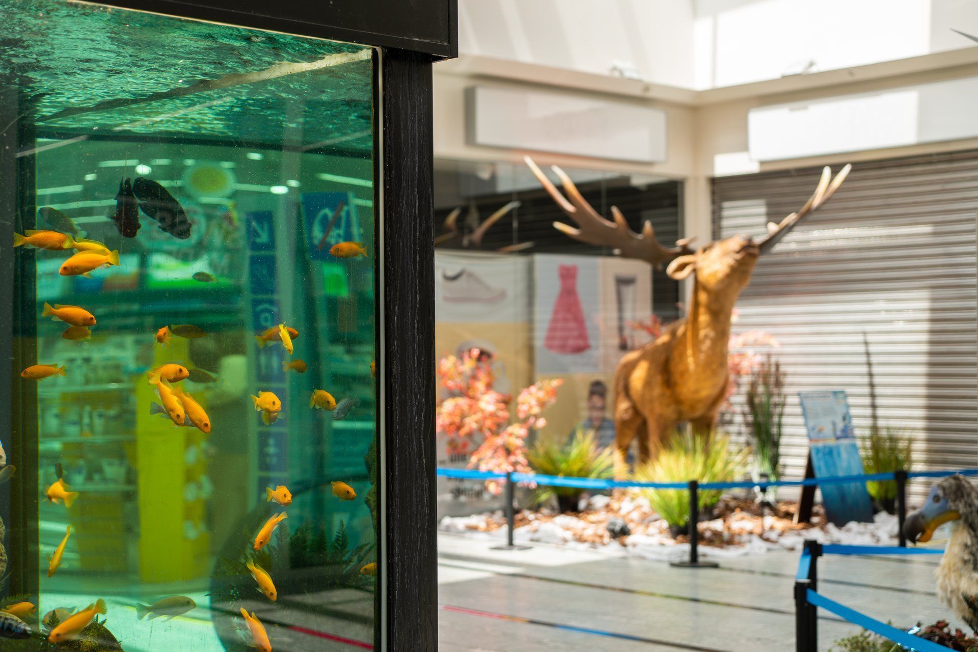 Aquarium Parc du Rhône à Collombey en Valais