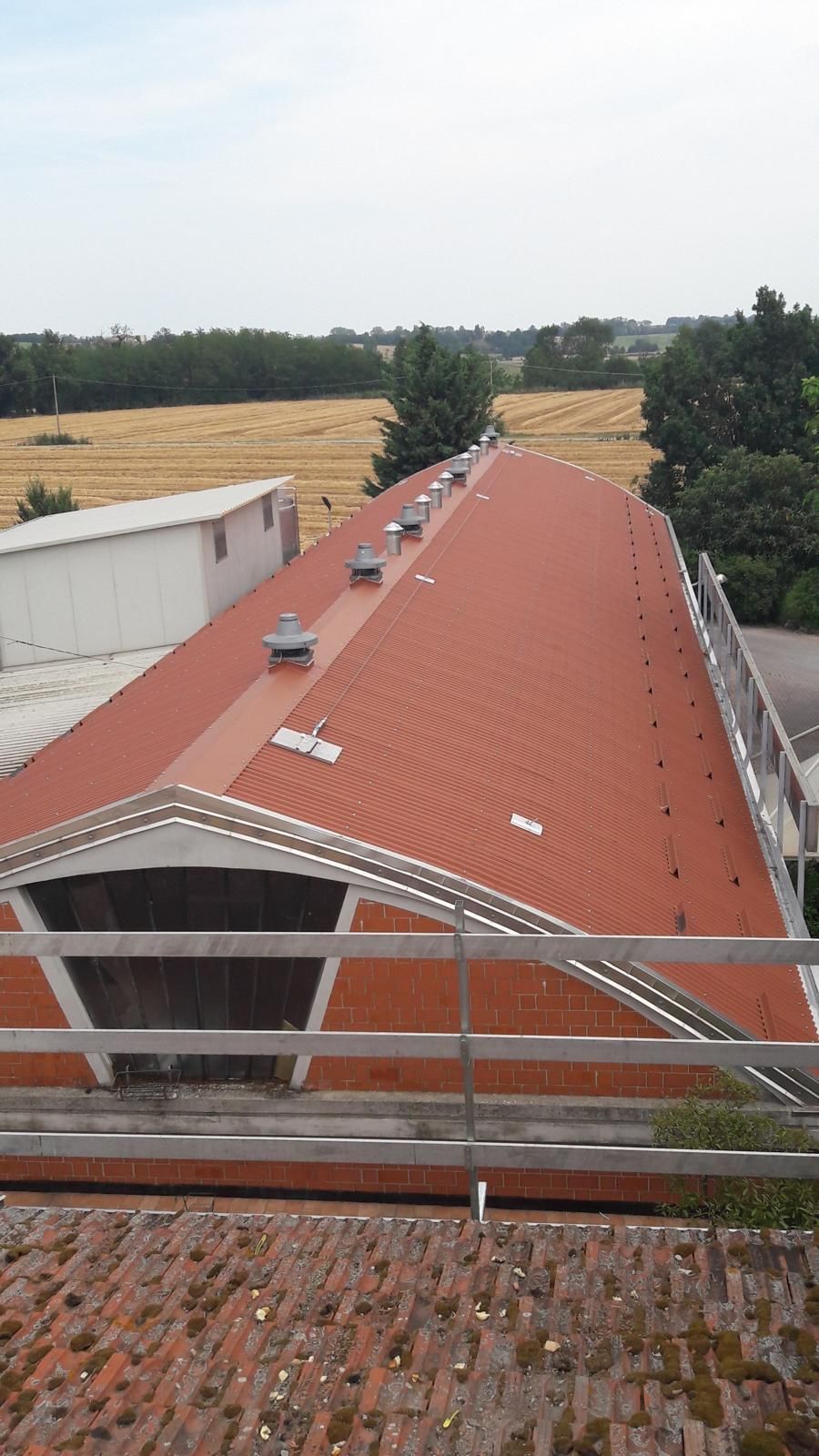 Una veduta dall'alto di un lungo tetto di tegole rosse di un fienile con piccole aperture di ventilazione, sullo sfondo di campi e alberi.