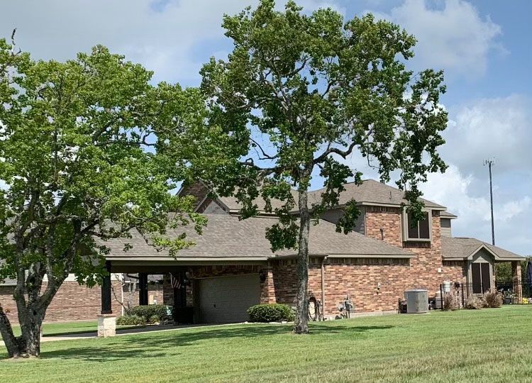 A brick house with a tree in front of it