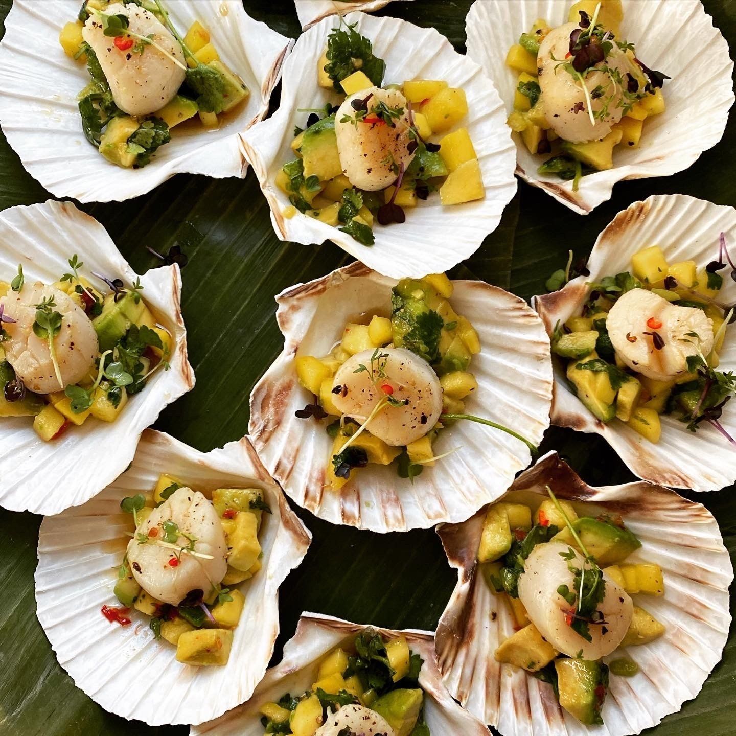 Catering Ausschnitte, die das Catering und Speisen zeigen, die außergewöhnlich toll aussehen und bestimmt auch so schmecken