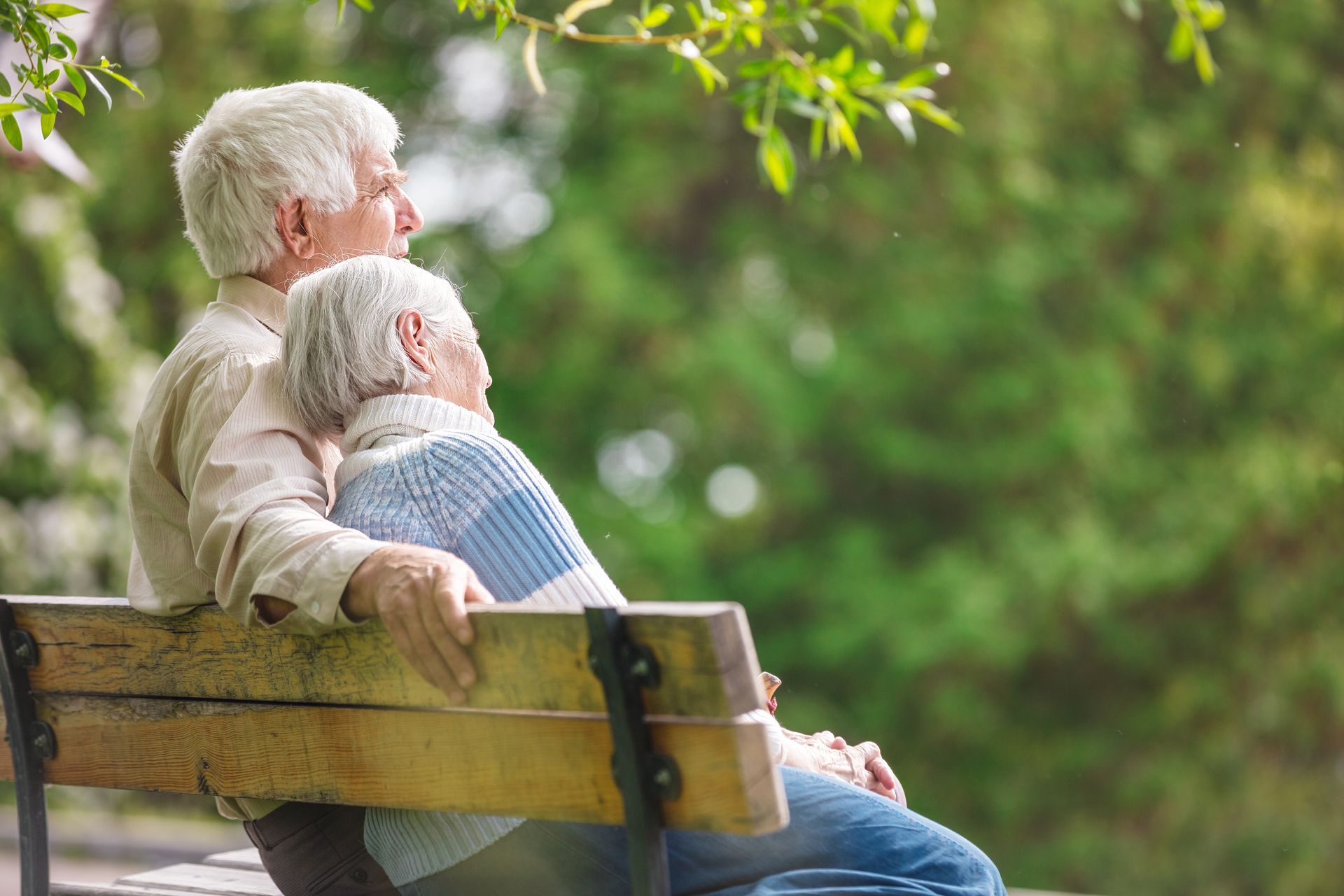 Two people sitting together on a wooden park bench, viewed from behind, looking out at a blurry, sunlit green forest.
