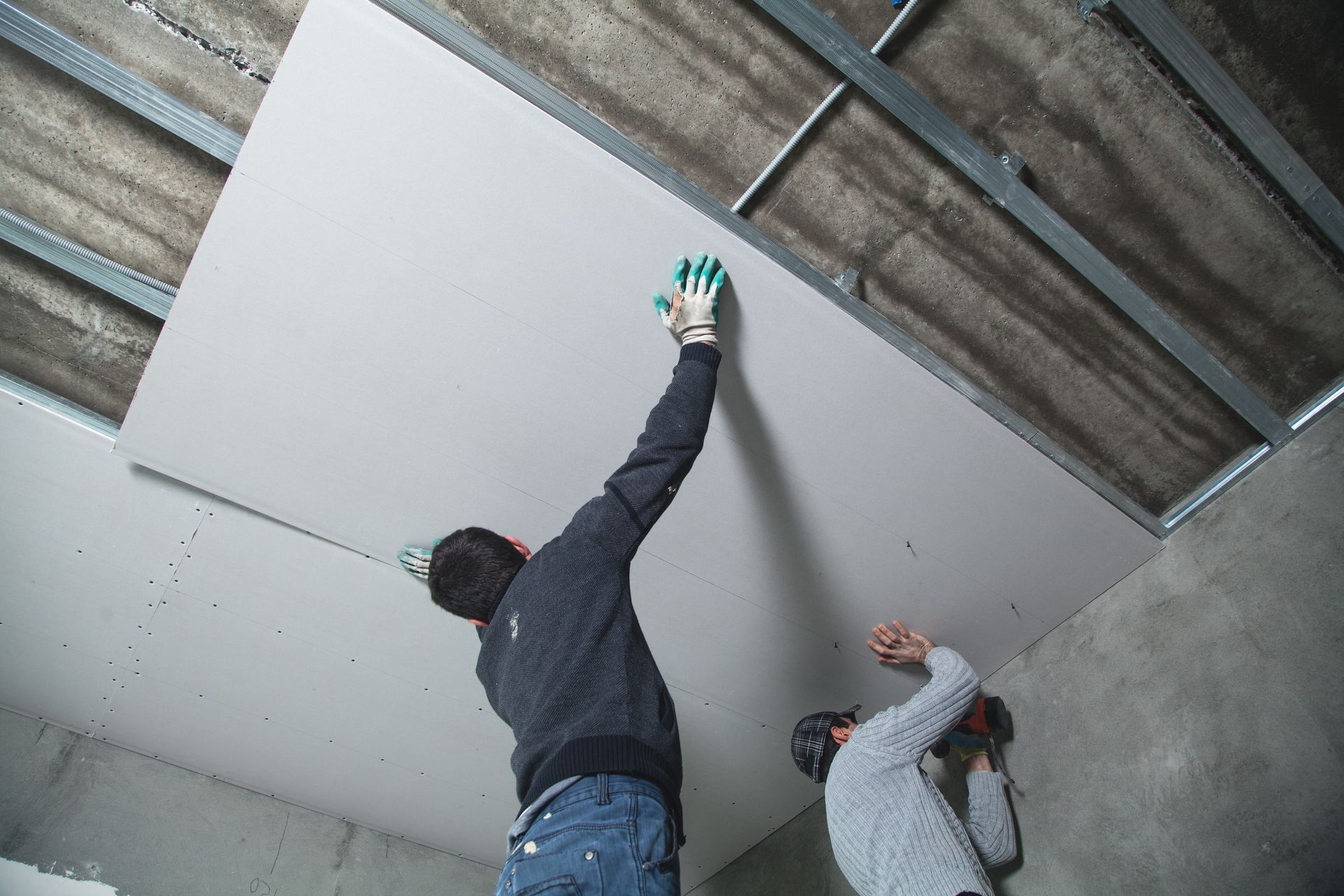 Two people installing drywall on a ceiling. One holds the sheet, the other screws it in. Gray, indoor setting. Two people installing drywall on a ceiling. One holds the sheet, the other screws it in. Gray, indoor setting.