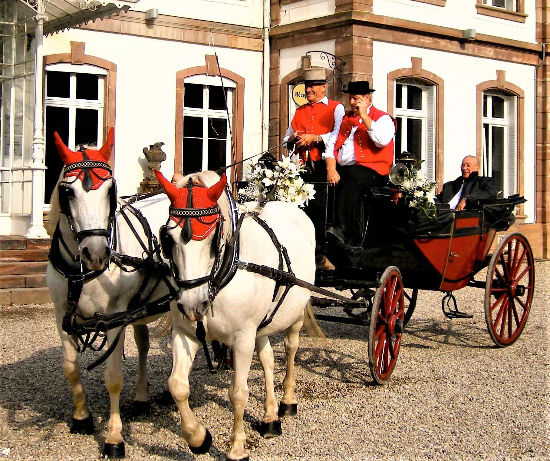 Arrivée en calèche à Pourtalès