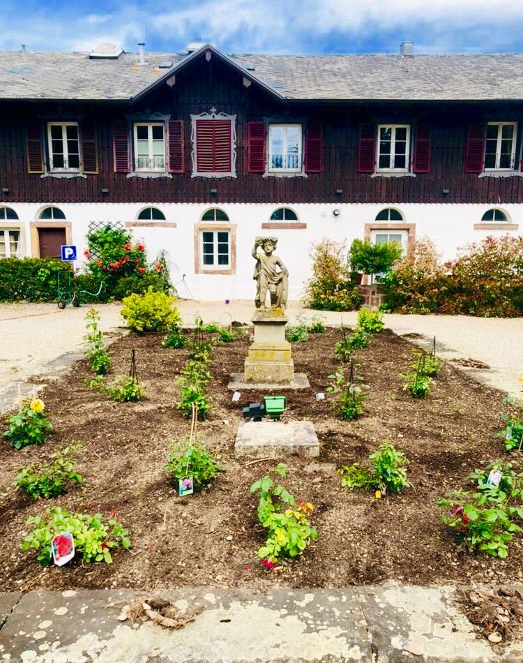 PHOTO AMENAGEMENT DE MASSIF POURTALES