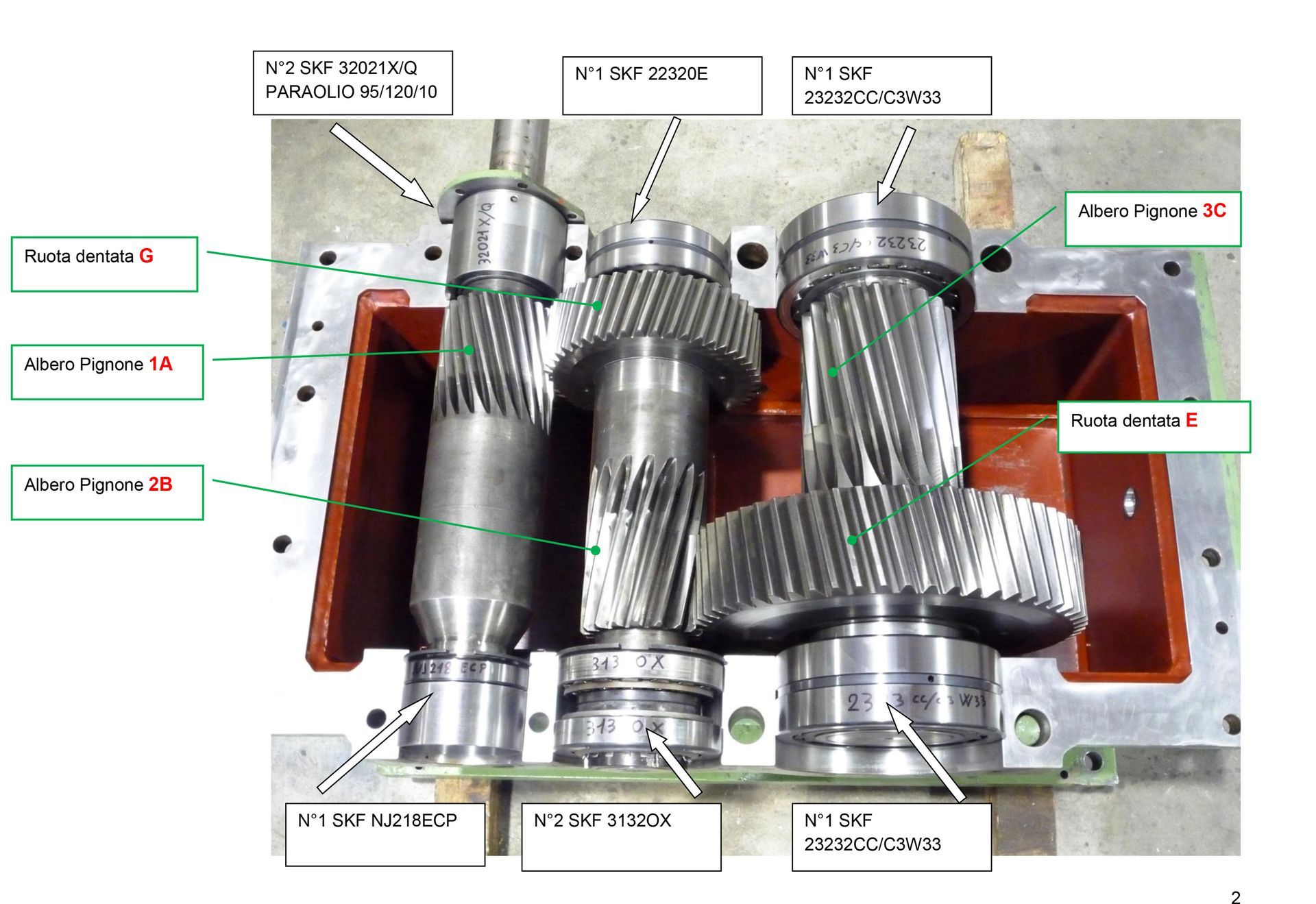 Ingranaggi all'interno di un alloggiamento di un sistema meccanico. Tre alberi con ingranaggi ingrananti, etichettati con termini tecnici.