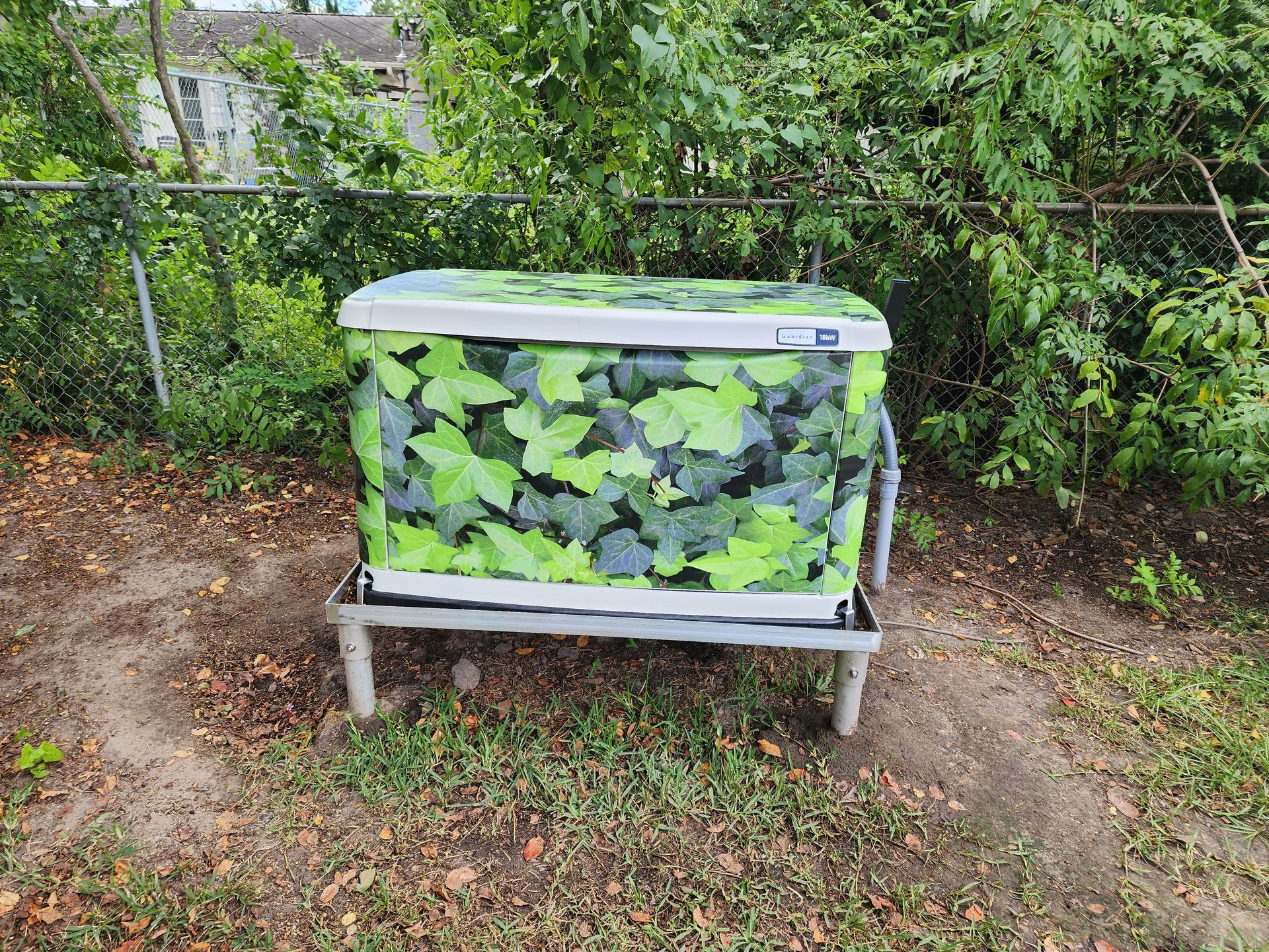 GenSkinz gallery image- custom generator wraps