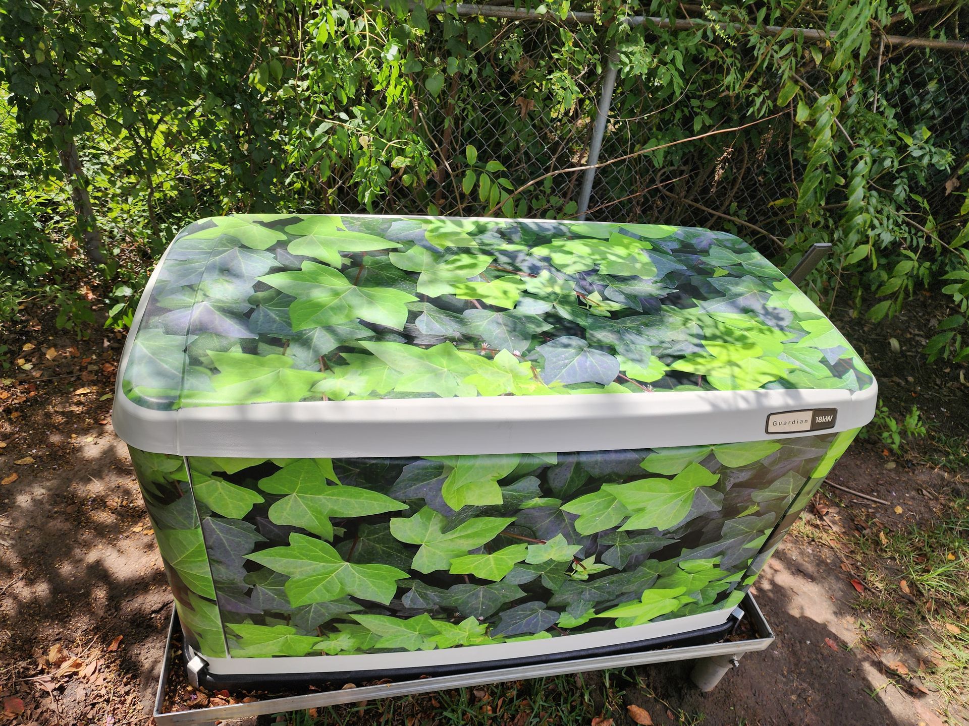 GenSkinz gallery image- custom generator wraps