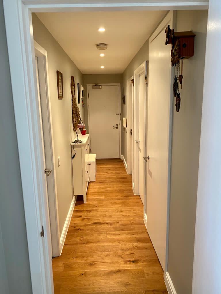 Picture of an apartment hallway painted in light grey by painters and decorators London