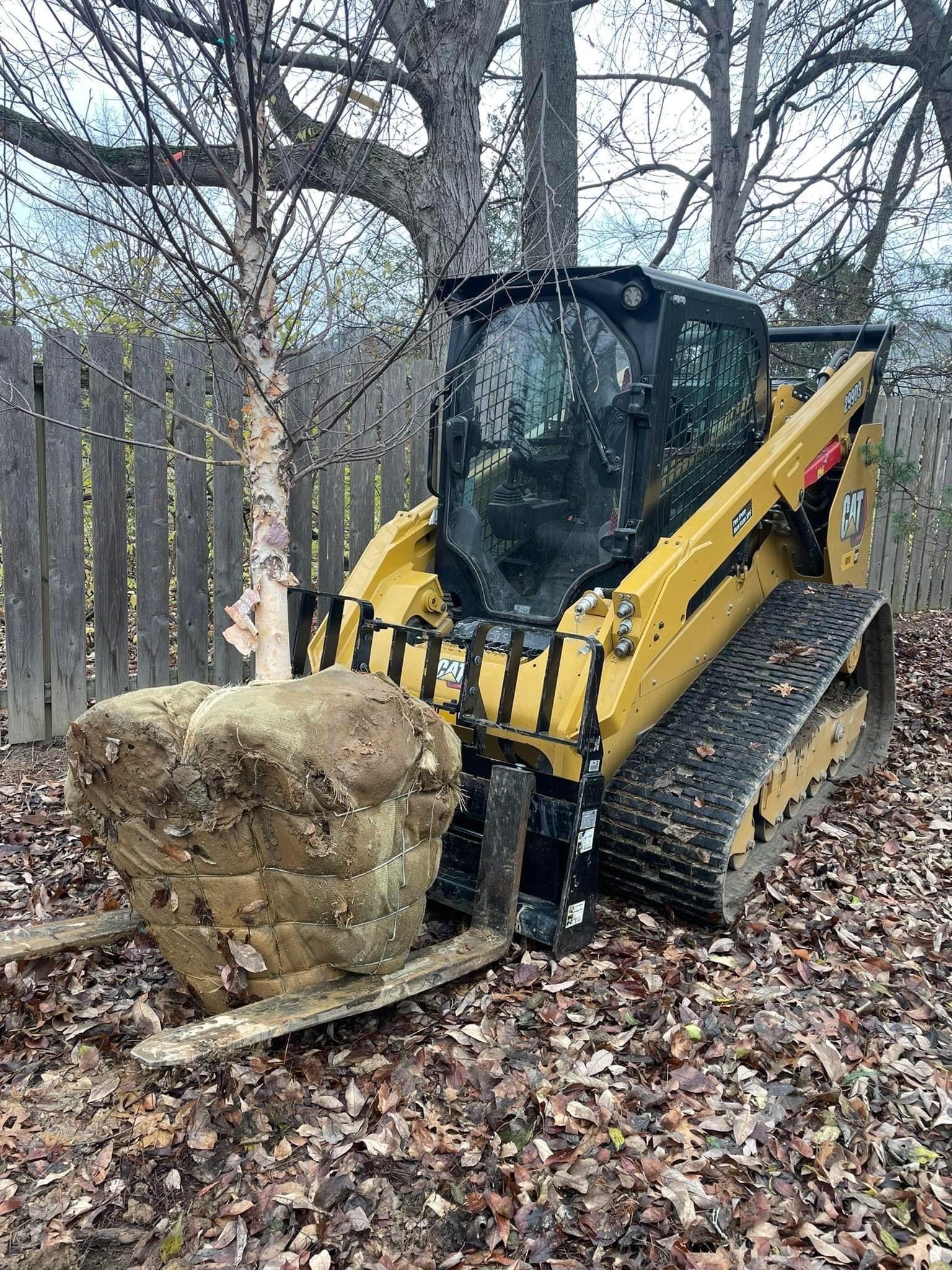 Stump | Louisville, KY | The Blankenship Tree Service