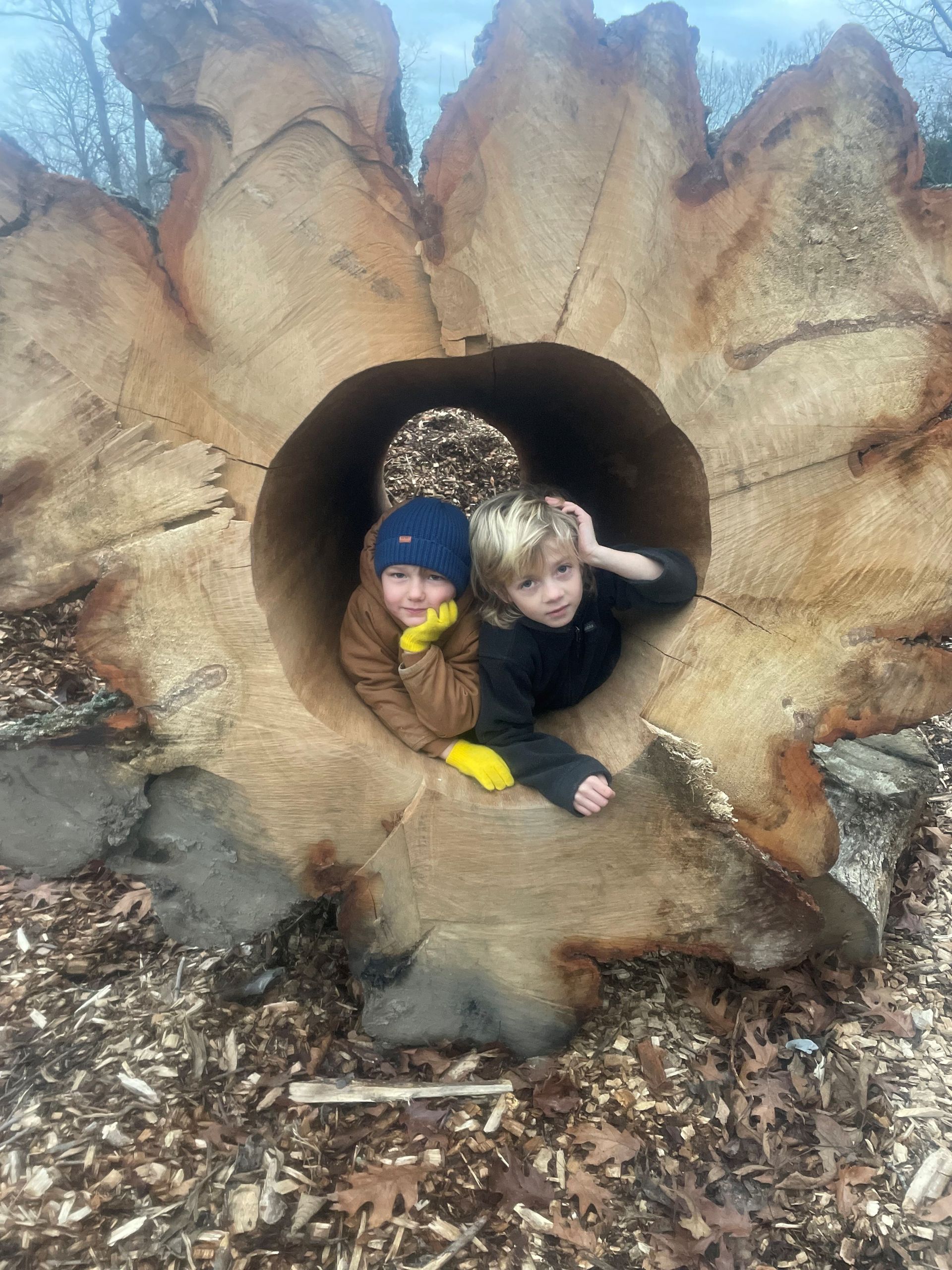 Kids in Tree Trunk | Louisville, KY | The Blankenship Tree Service