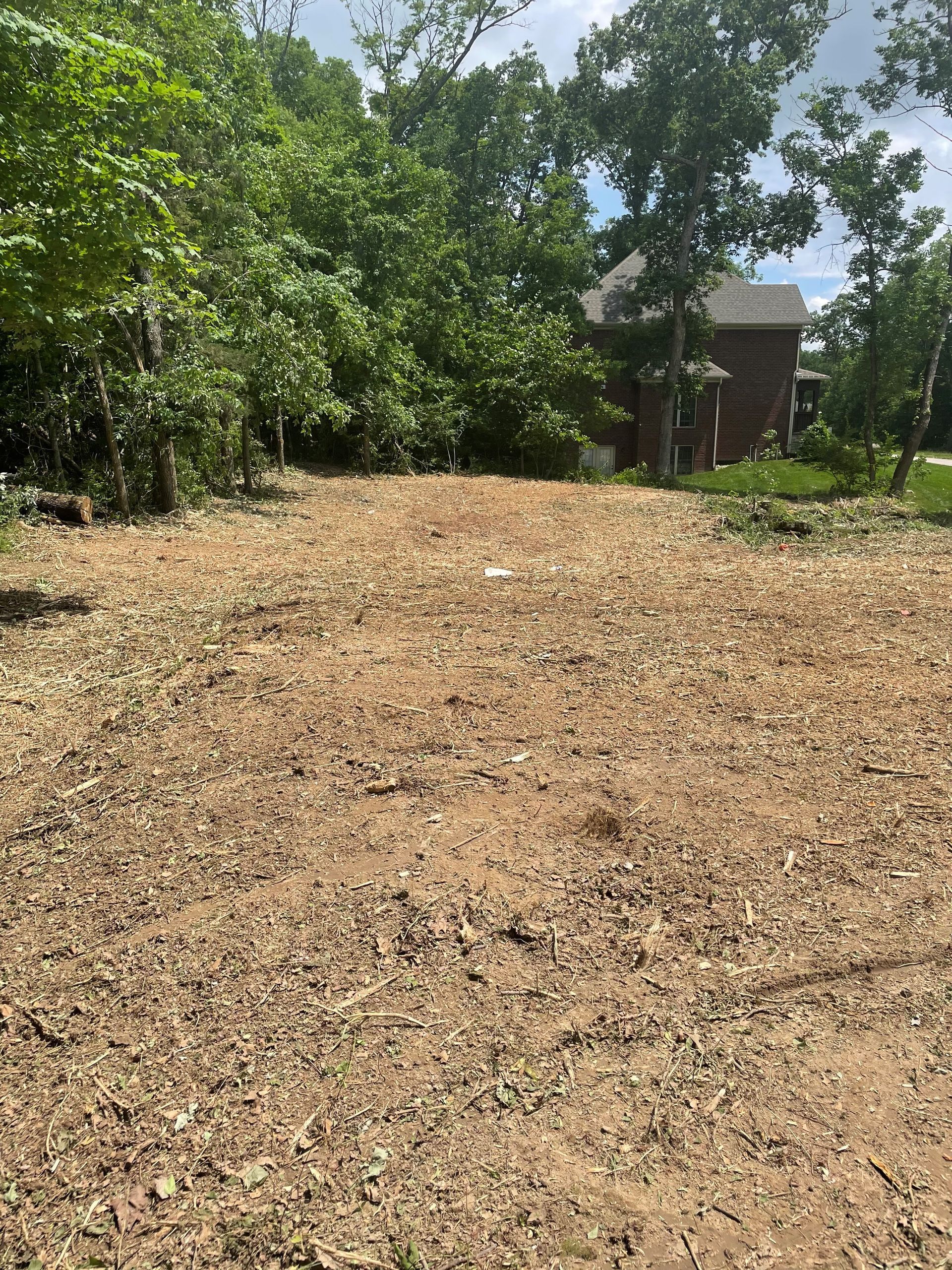 Land Clearing | Louisville, KY | The Blankenship Tree Service