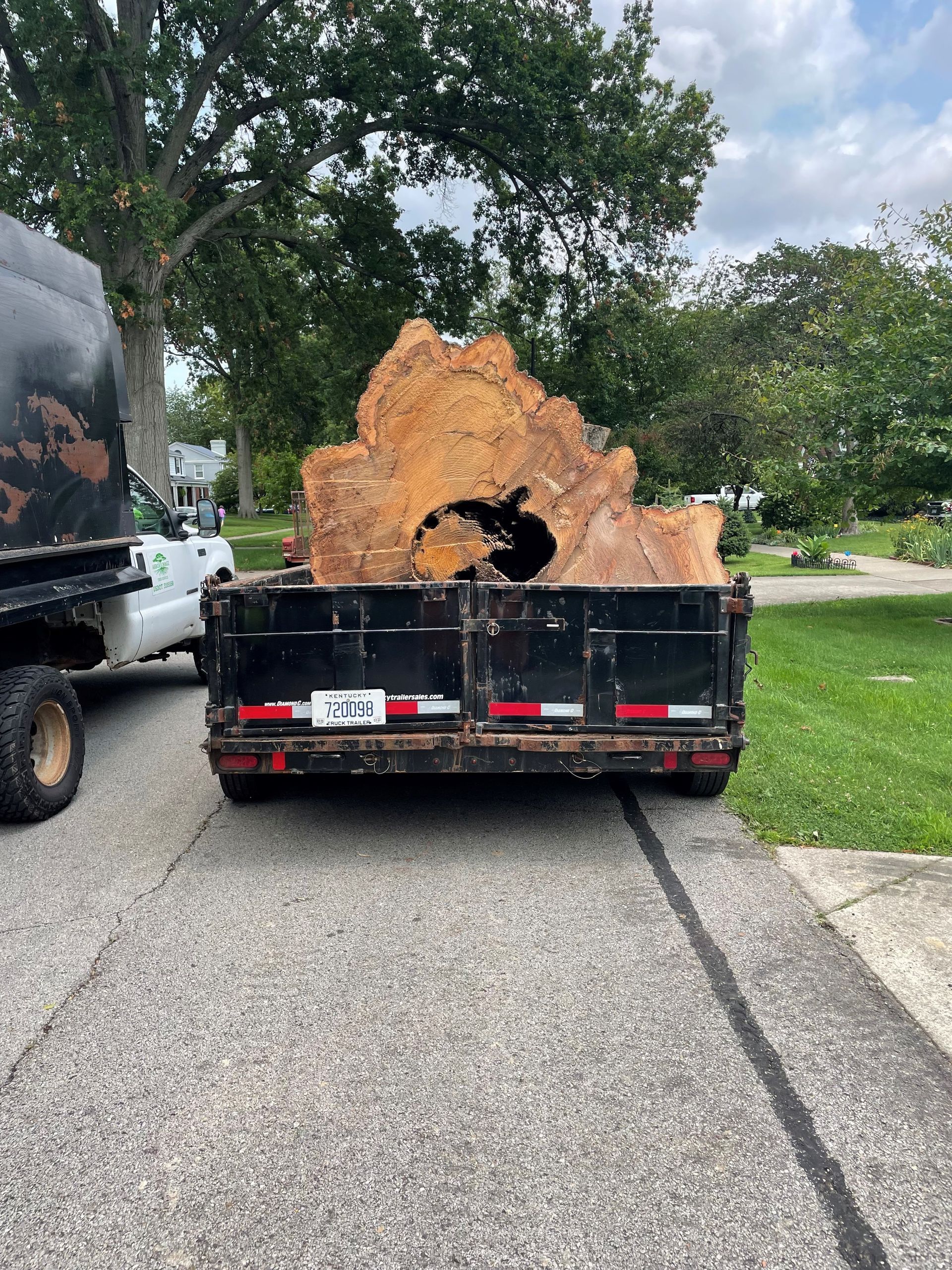 Stump | Louisville, KY | The Blankenship Tree Service