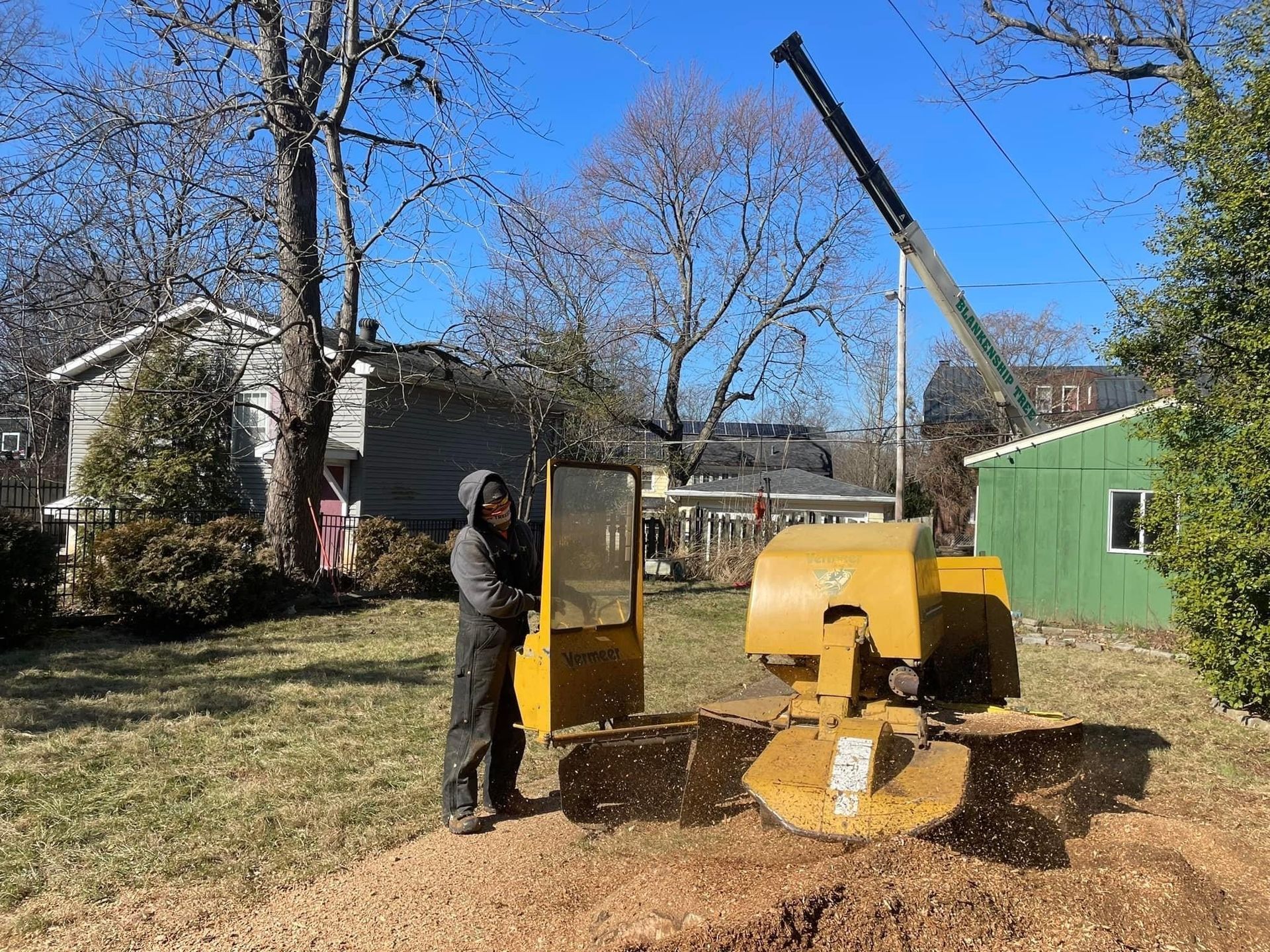 Stump Grinding | Louisville, KY | The Blankenship Tree Service