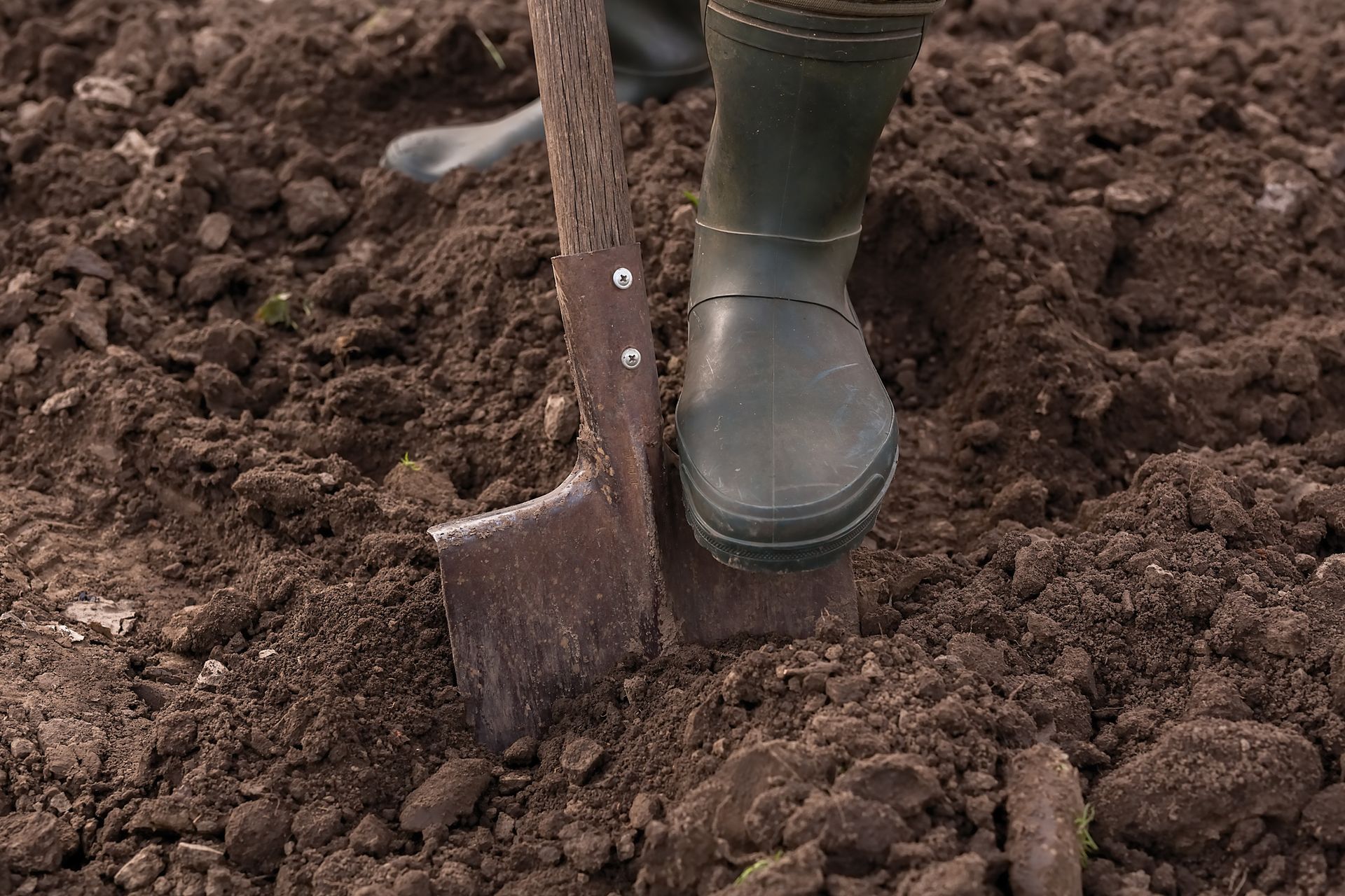 Soil | Louisville, KY | The Blankenship Tree Service