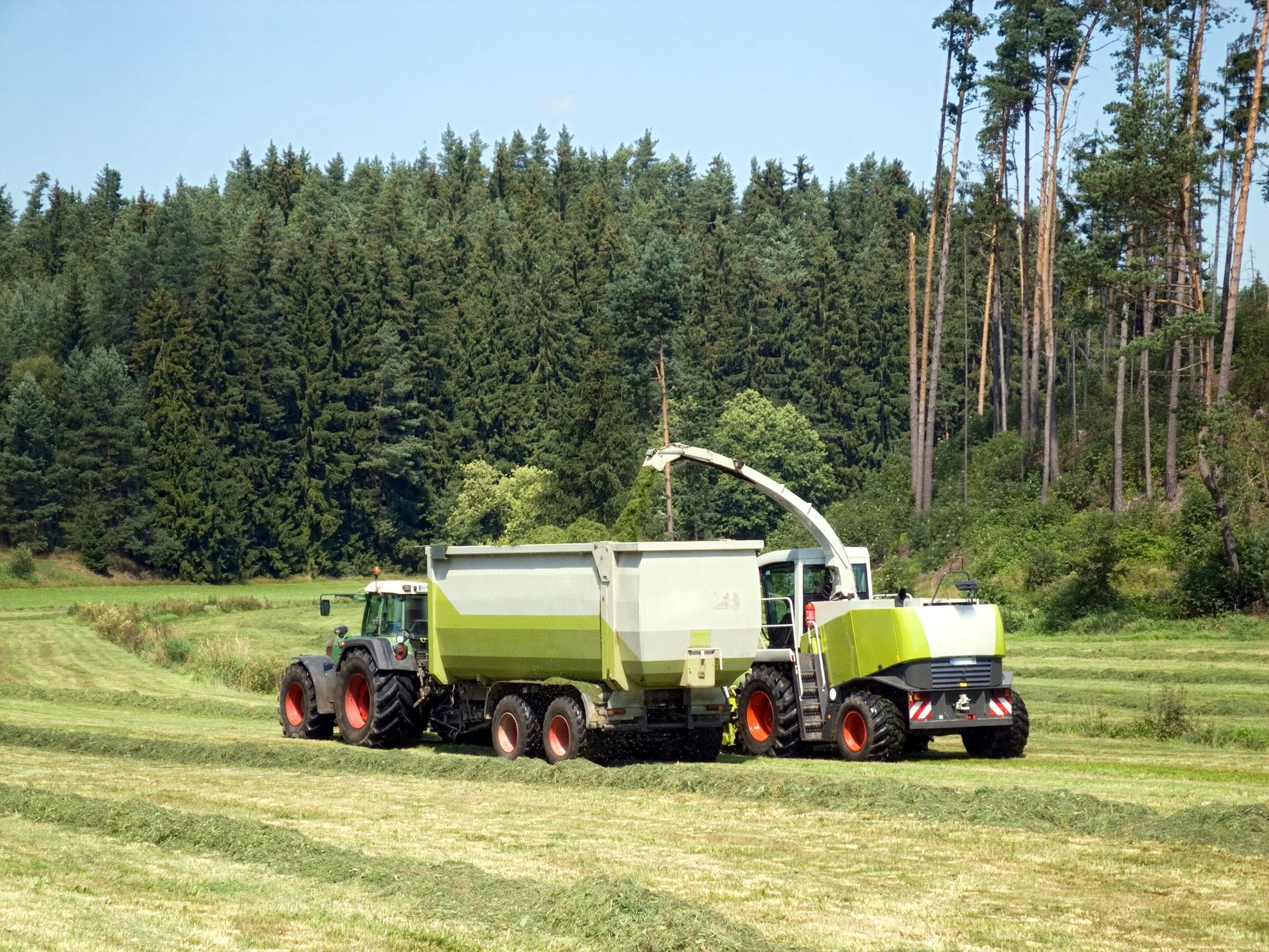 Landscaping | Louisville, KY | The Blankenship Tree Service