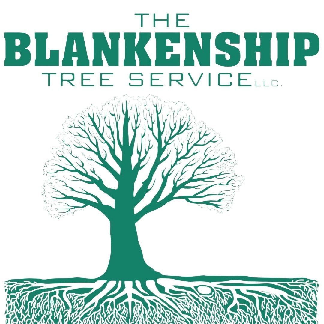 The Blankenship Tree Service - Louisville, KY