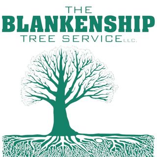 The Blankenship Tree Service - Louisville, KY