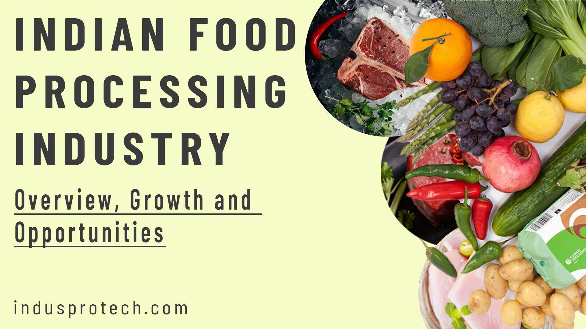 Indian Food Processing Industry Overview, Growth and Opportunities