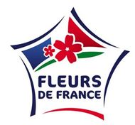 Un drapeau français flotte au vent sur un fond blanc.