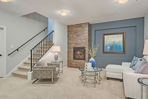 Elegant Living Room — St Cloud, MN — Fine Line Paint LLC