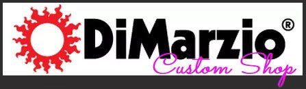 DiMarzio custom shop