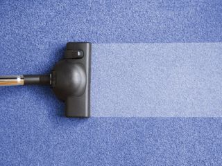 Commercial Carpet Cleaning Services — Vacuum Cleaner in Fort Collins, CO