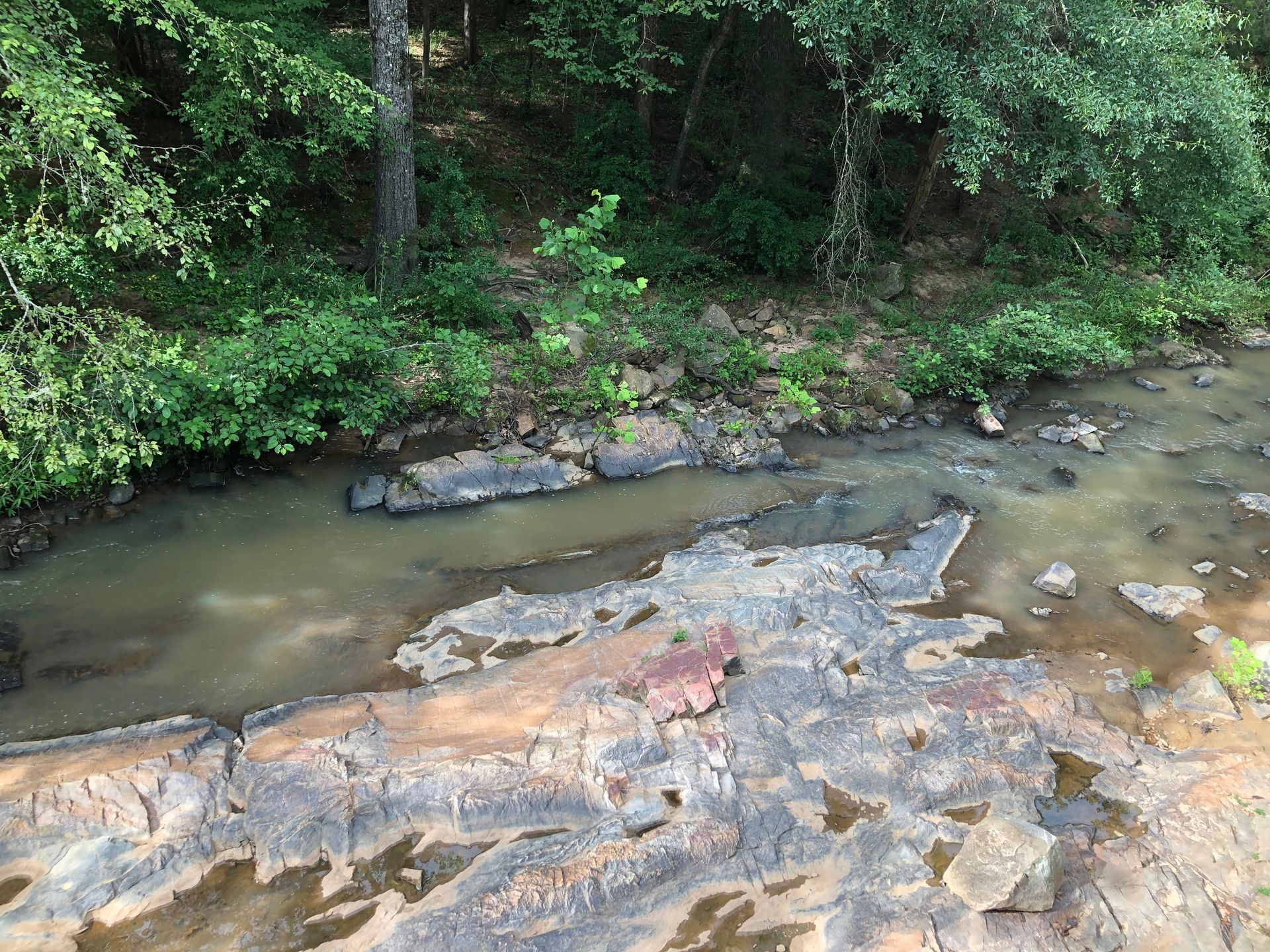 Palmetto Trail