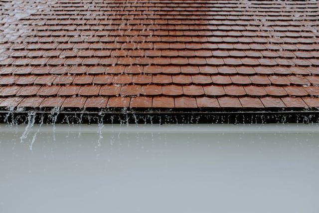 Roof Inspection