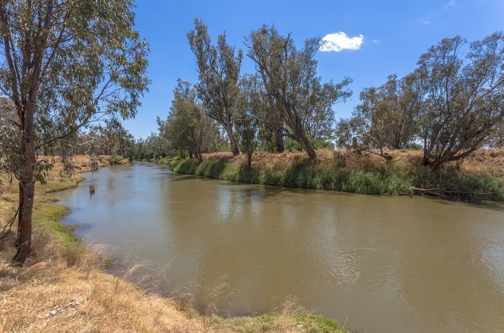 A River Surrounded by Trees and Grass on a Sunny Day — HJK Plastering In Northern Rivers, NSW