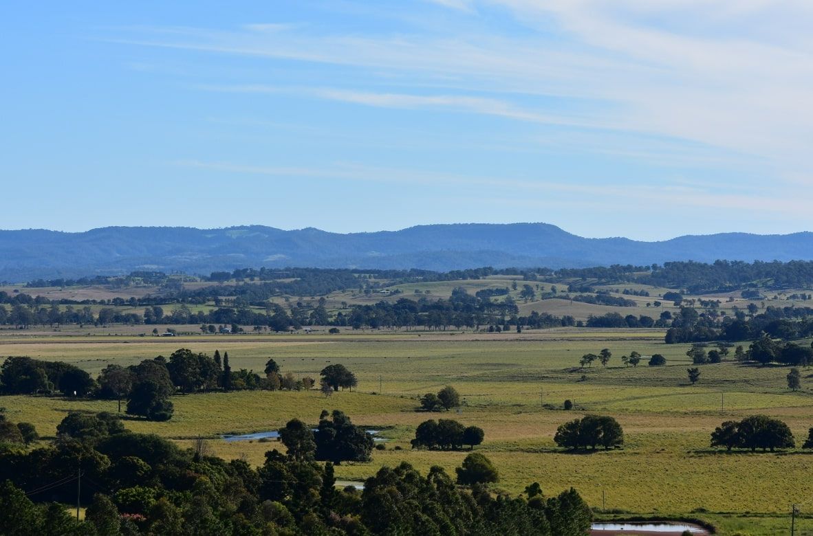 A Train is Going Through a Lush Green Field — HJK Plastering In Kyogle, NSW