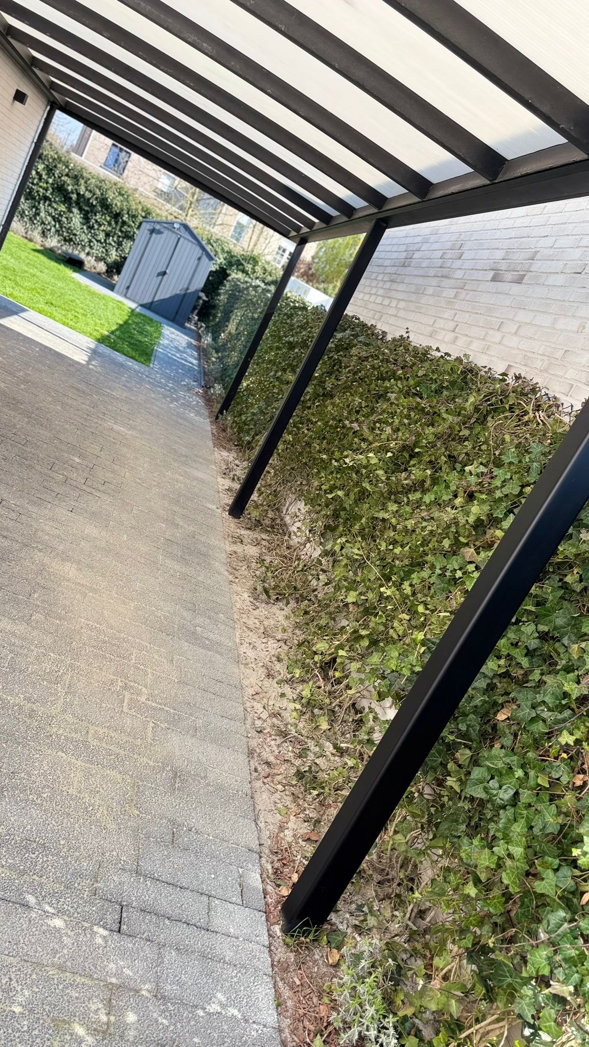 Een pad langs een groene heg, overdekt door een zwart frame met een wit, doorschijnend dak, leidt naar een tuinschuur.