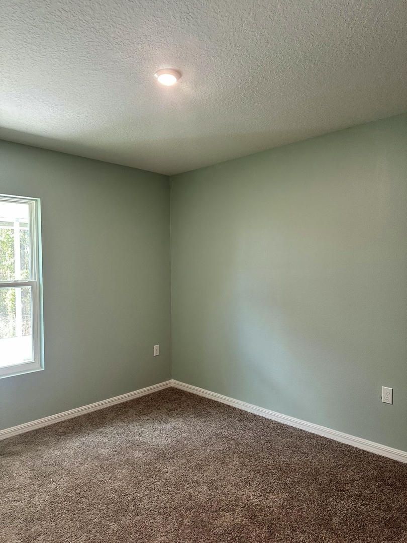 Empty room with light green walls, a window, brown carpet, and a white ceiling with a centered light.