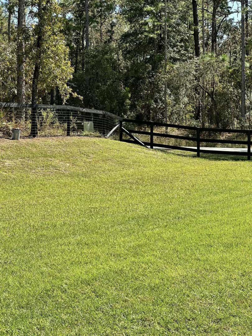 Lush green lawn with a sprinkler spraying water near a black wooden fence and trees in the background.