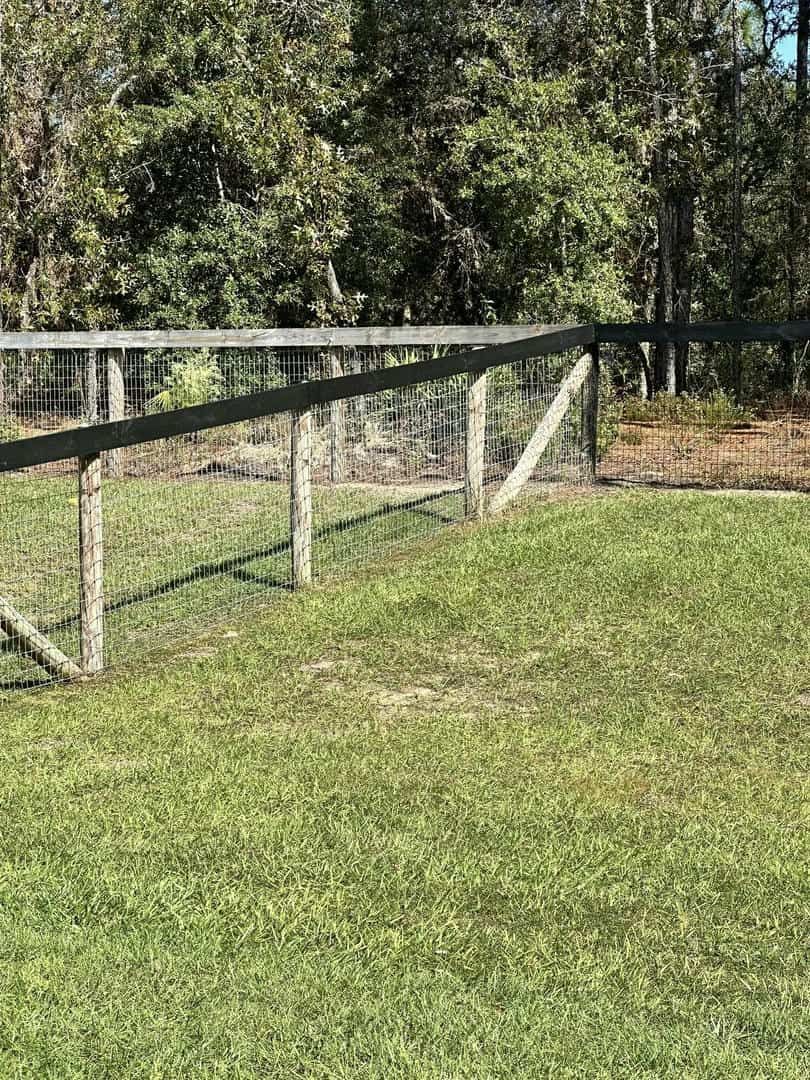 Wooden fence in a grassy area, with trees in the background.