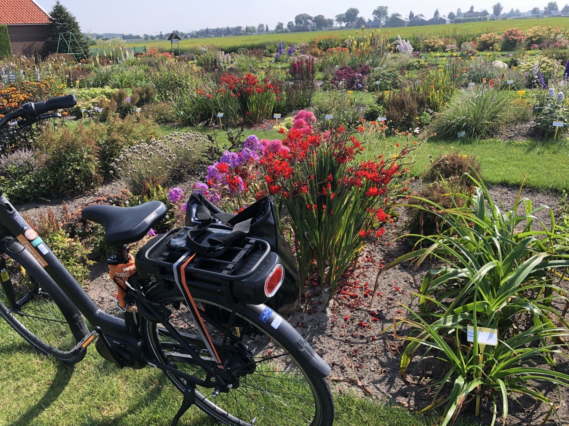 Fietsroute Bollenstreek Met Lokale Gids