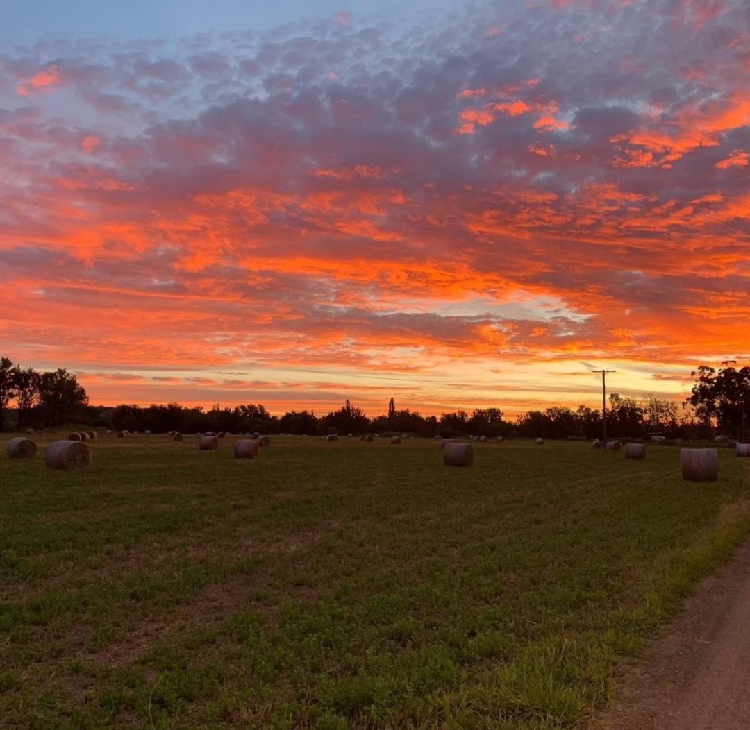 Sunset View at the Farm — Farm Supplies in Tamworth, NSW
