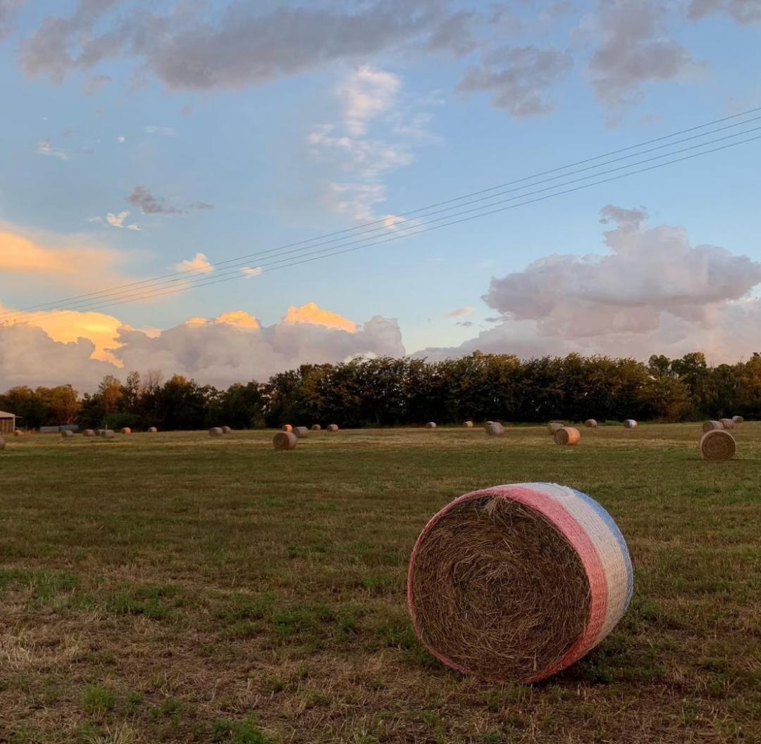 Farm with Rolled Grass — Produce Store in Tamworth, NSW