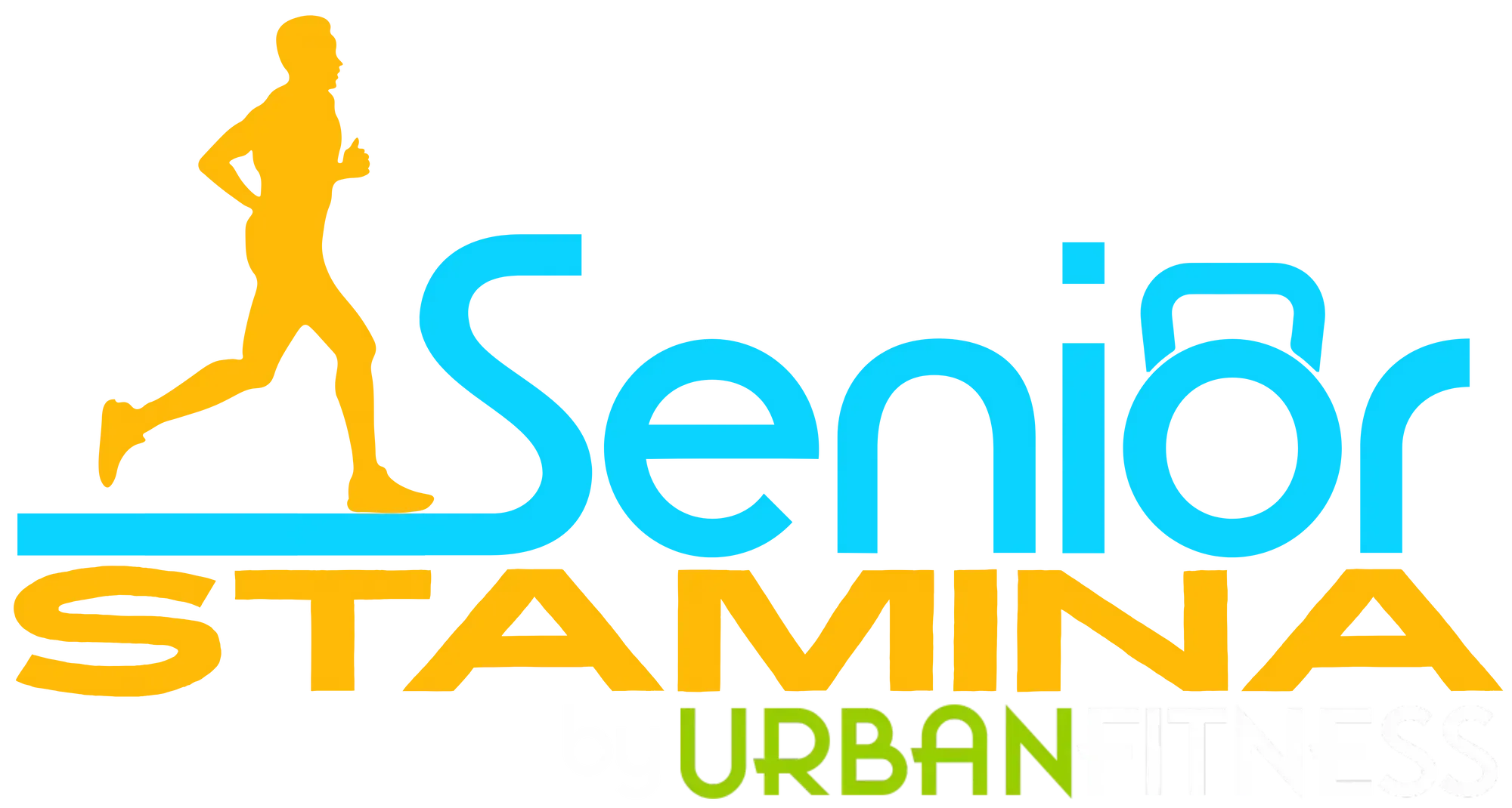 SENIOR STAMINA FITNESS