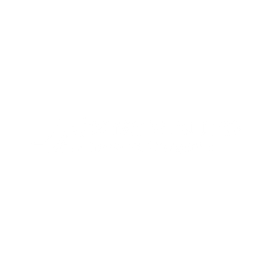 A white background with a few lines on it