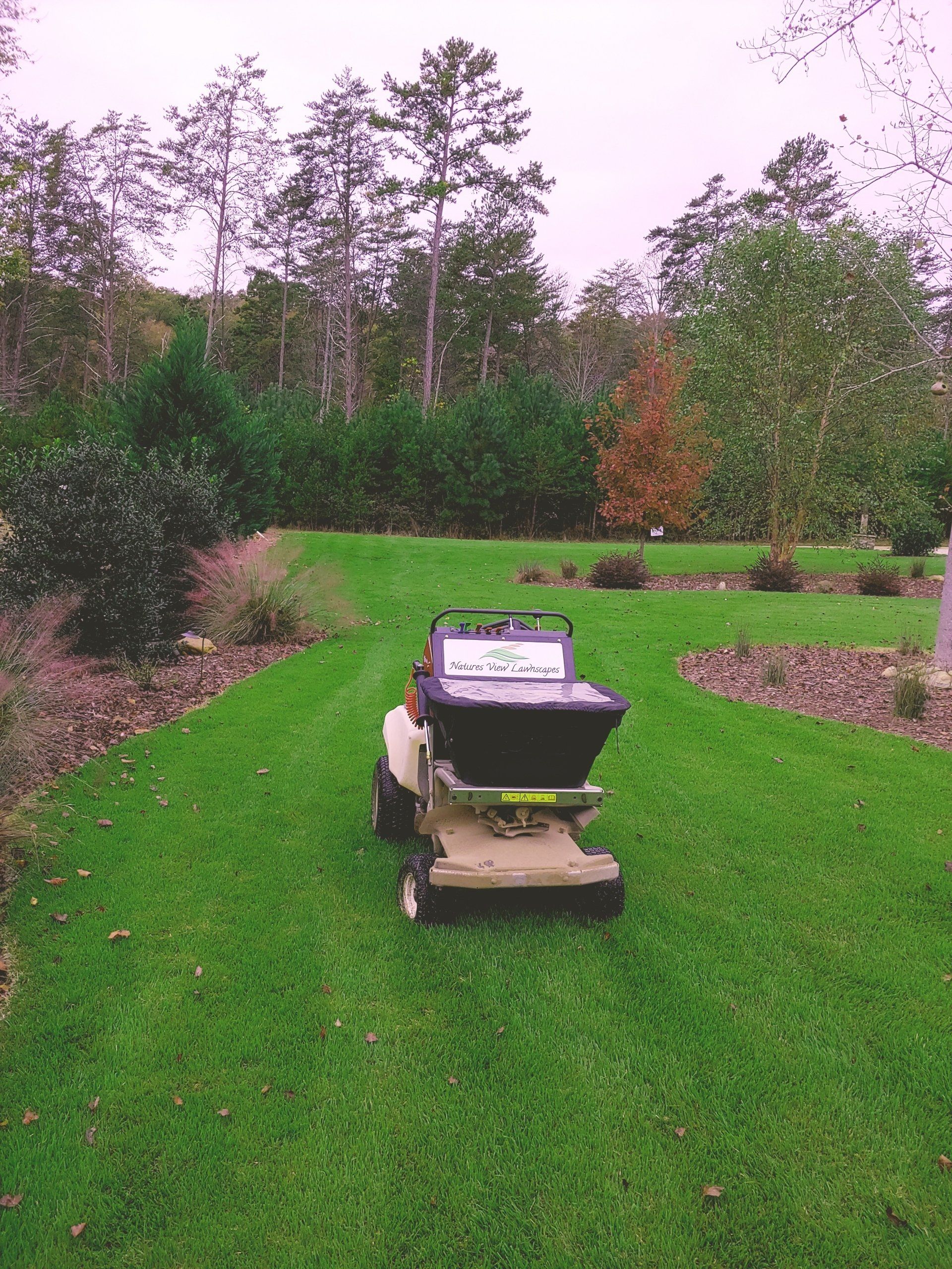 lawn management services
