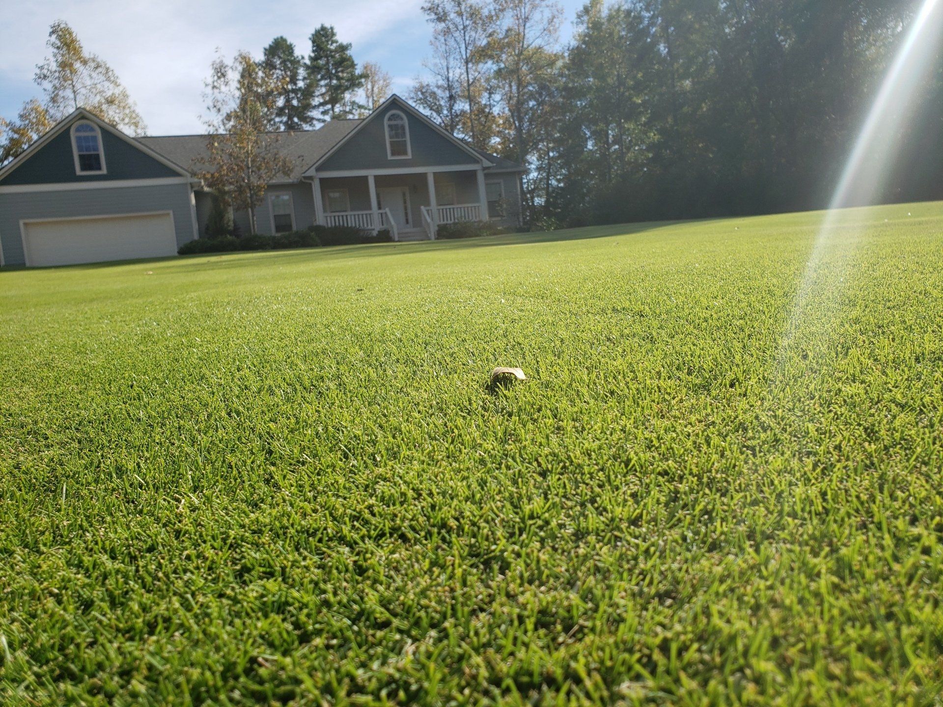 customized lawn care management services