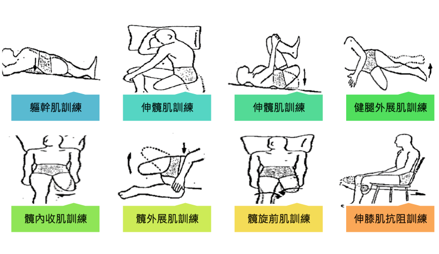 術後復健運動教學圖：八種居家訓練動作示範，包含軀幹肌訓練、伸髖肌訓練及健腿外展訓練，配有箭頭標示動作方向。
