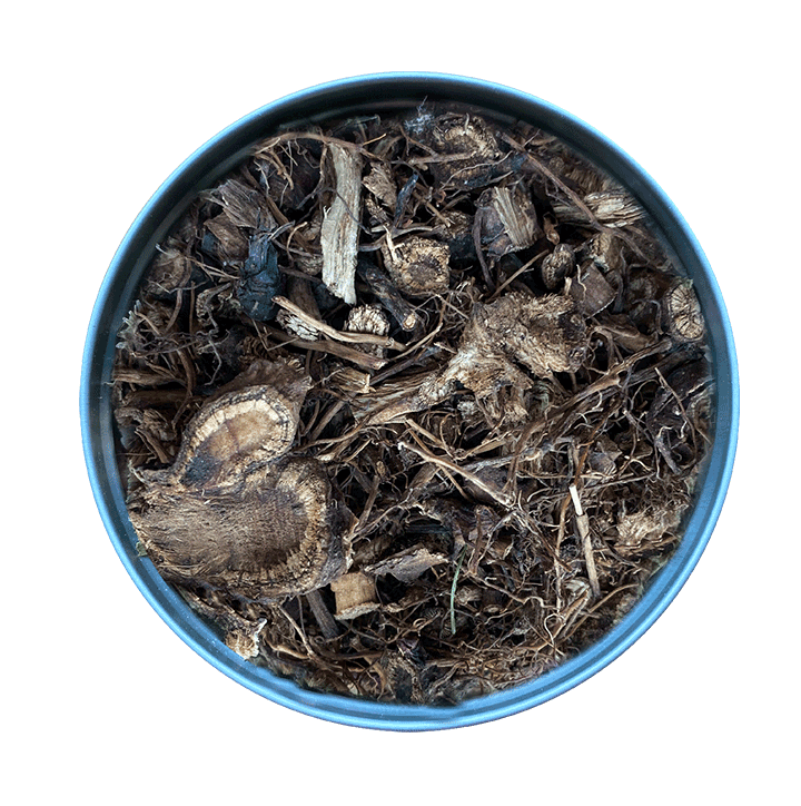 dried elecampane root