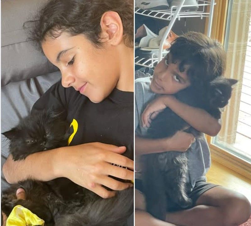 children with black Persian kitten