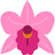 pink flower icon
