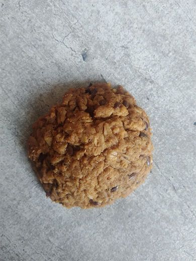 GALLETAS INTEGRALES ZACATECAS