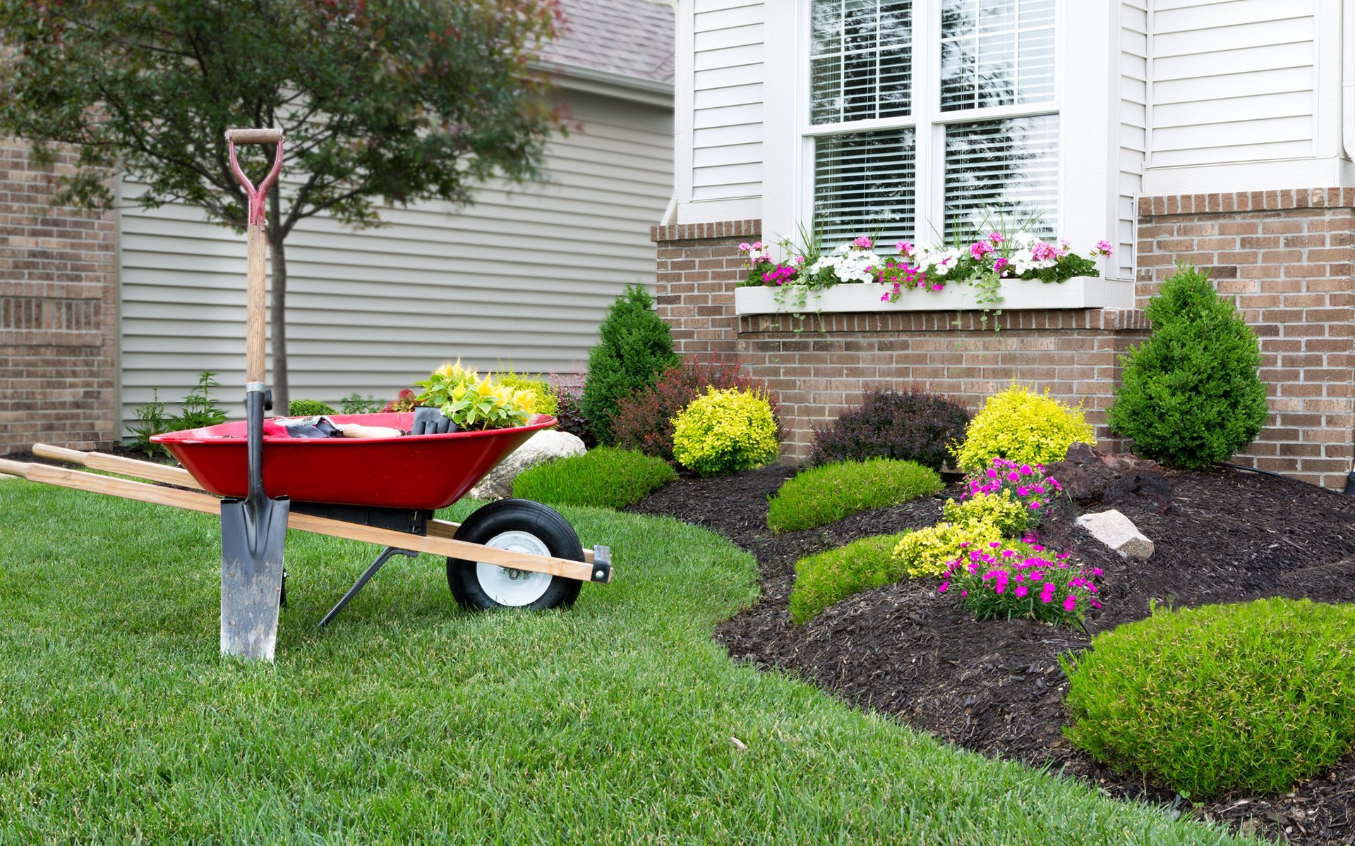 A red wheelbarrow with a shovel attached to it is parked in front of a house.